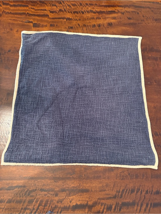 Pottery Barn Other - Pottery Barn Navy Accent Pillow Cover with Cream Border